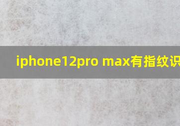 iphone12pro max有指纹识别吗